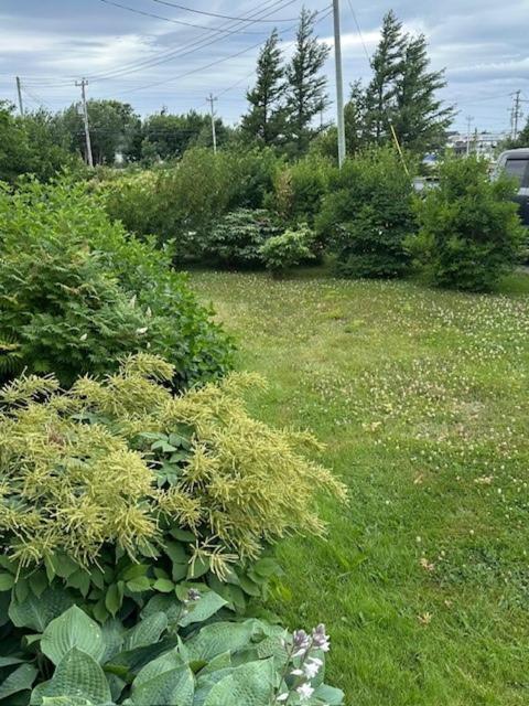 Lancaster Inn B&B Bonavista Kültér fotó
