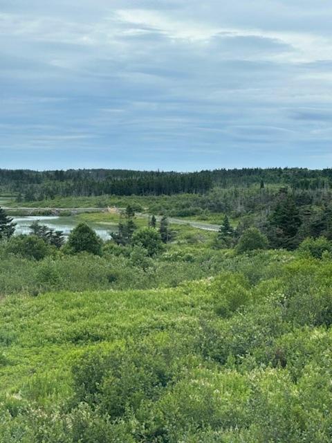 Lancaster Inn B&B Bonavista Kültér fotó